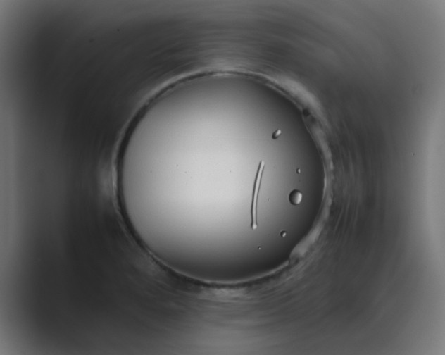 X0000089461280200706291454