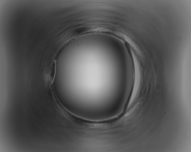 X0000089461281200706291454