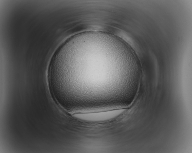 X0000089461283200706291454