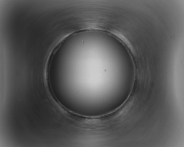 X0000089461285200706291454