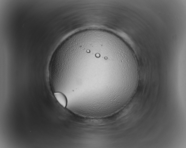X0000089461287200706291454