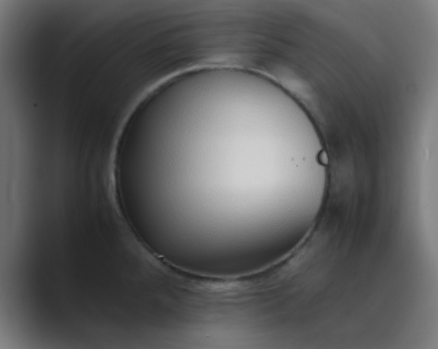 X0000089461288200706291454