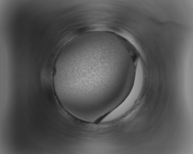 X0000089461289200706291454