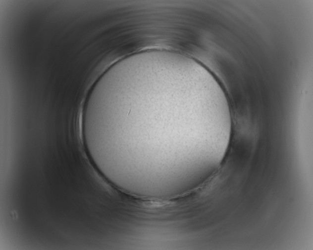 X0000089461290200706291454