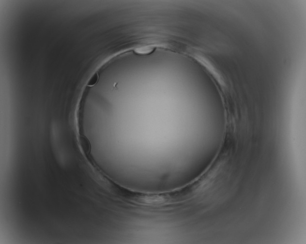 X0000089461291200706291454