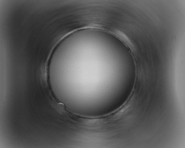 X0000089461292200706291454