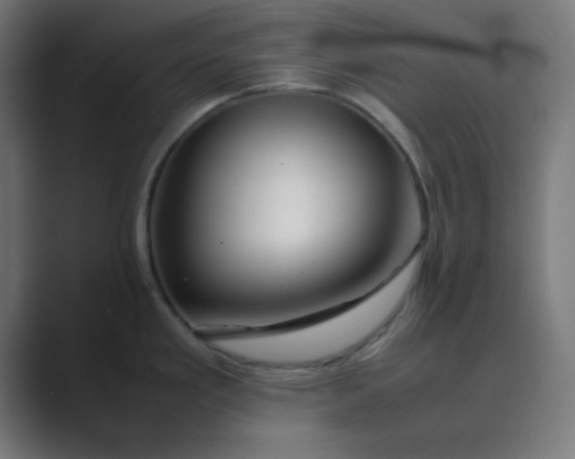 X0000089461293200706291454