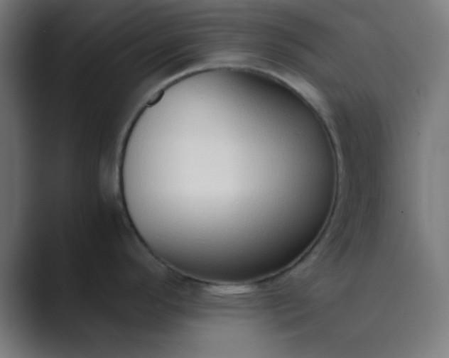 X0000089461296200706291454
