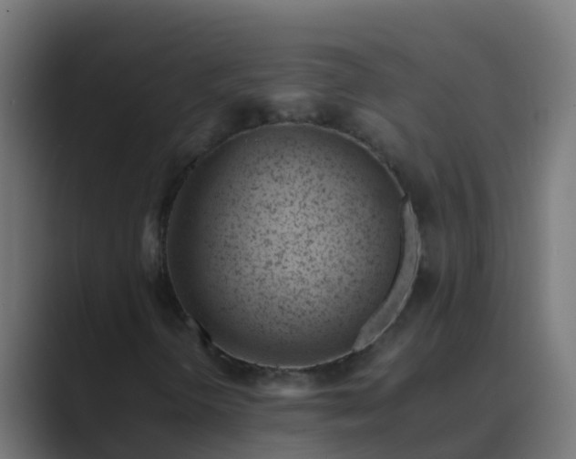X0000089461298200706291454