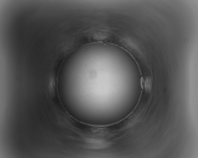 X0000089461299200706291454