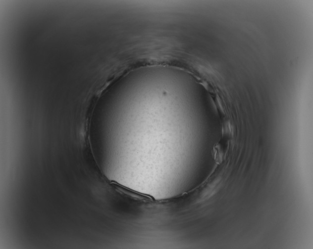 X0000089461300200706291454