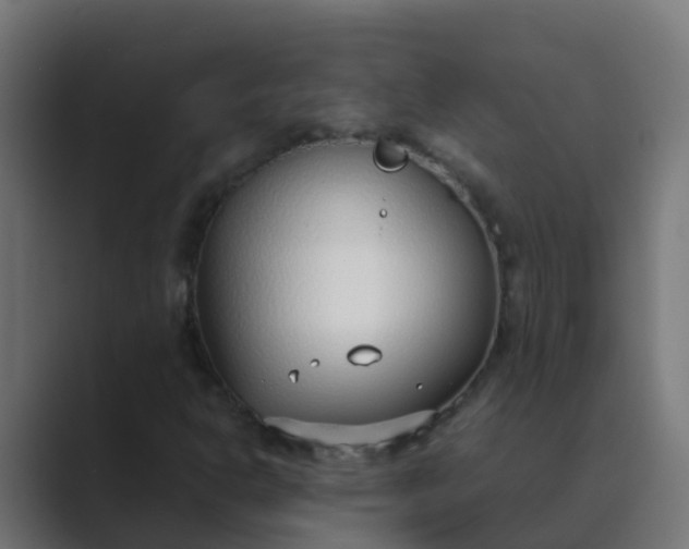 X0000089461302200706291454
