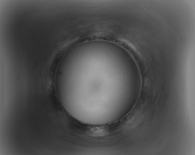 X0000089461303200706291454