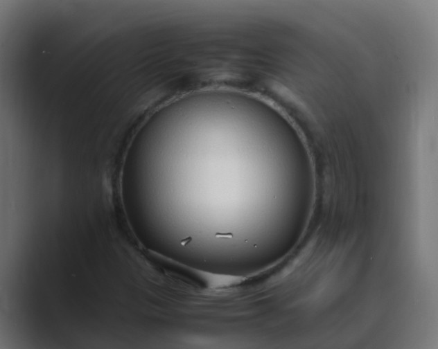 X0000089461305200706291454