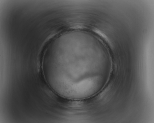 X0000089461306200706291454
