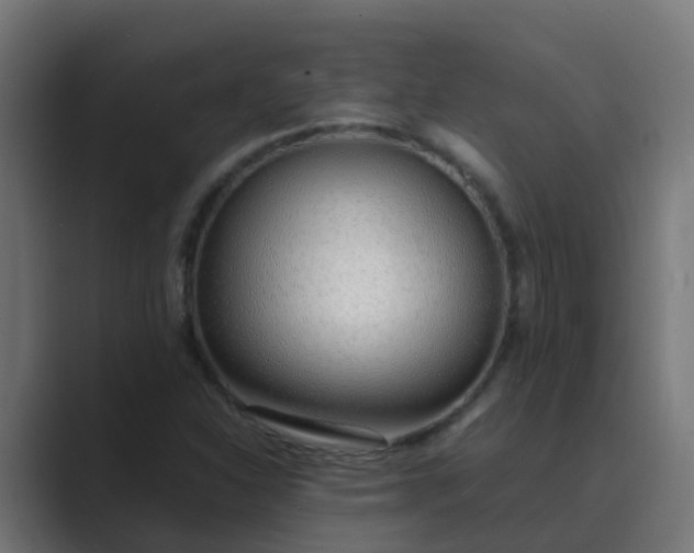 X0000089461310200706291454