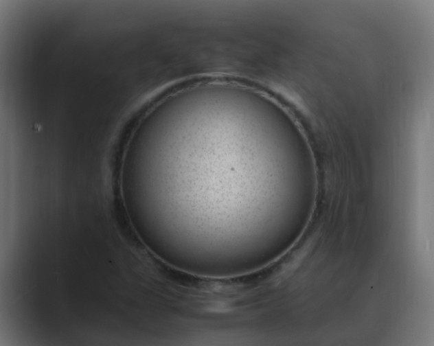 X0000089461311200706291454