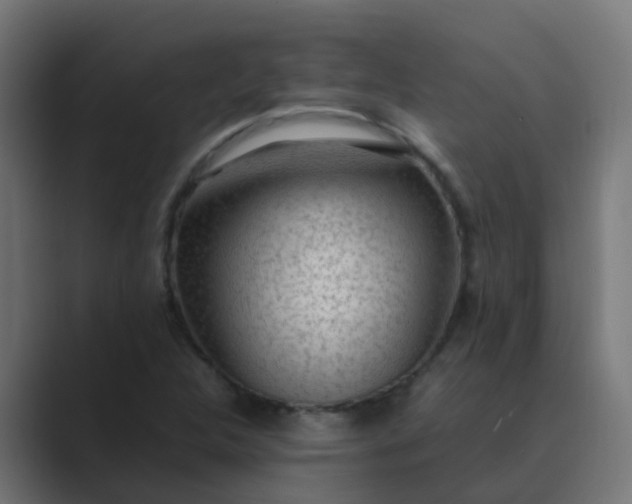 X0000089461312200706291454
