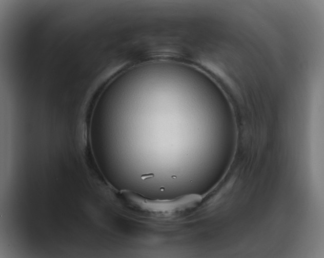 X0000089461317200706291454