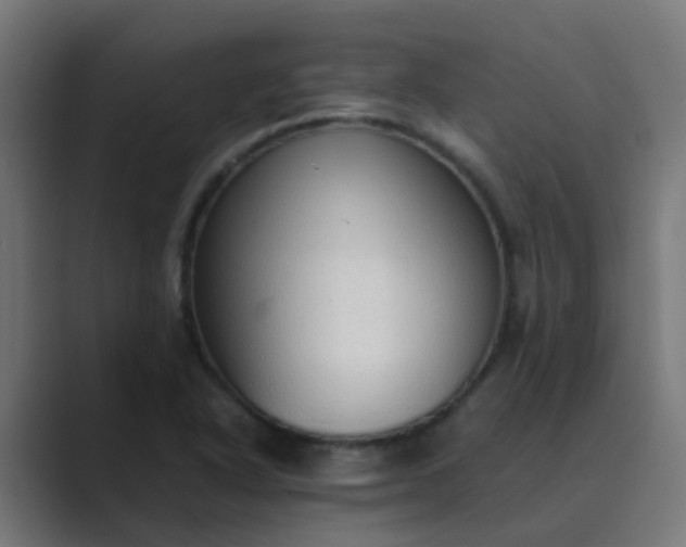 X0000089461318200706291454