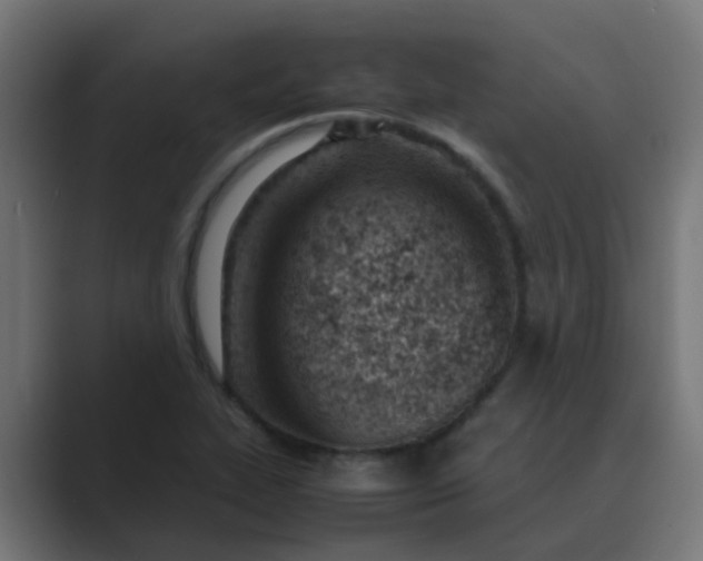 X0000089461319200706291454