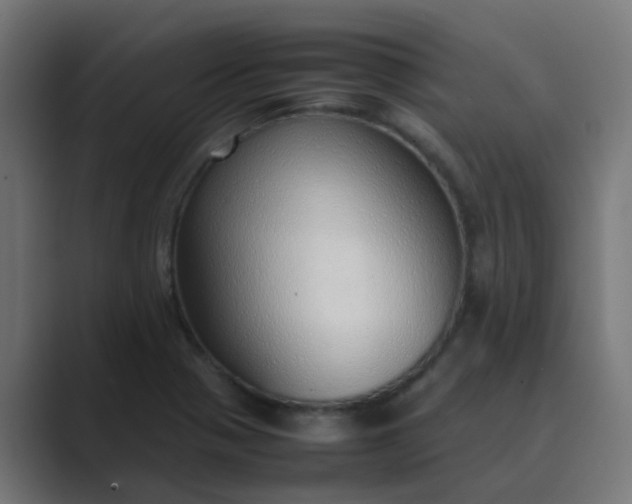 X0000089461321200706291454