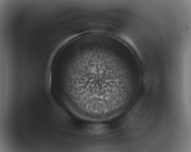 X0000089461323200706291454