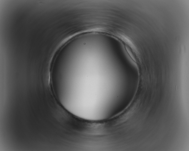 X0000089461324200706291454
