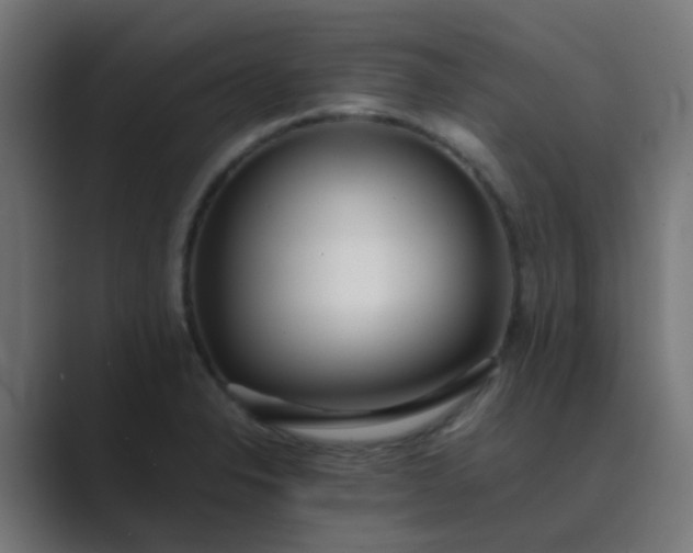 X0000089461326200706291454
