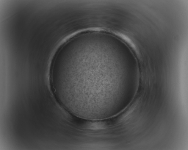 X0000089461327200706291454