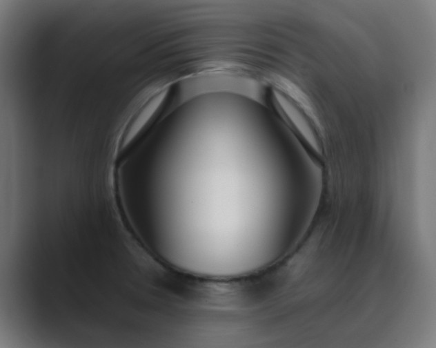 X0000089461330200706291454