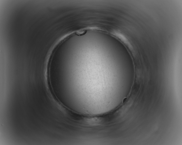 X0000089461331200706291454