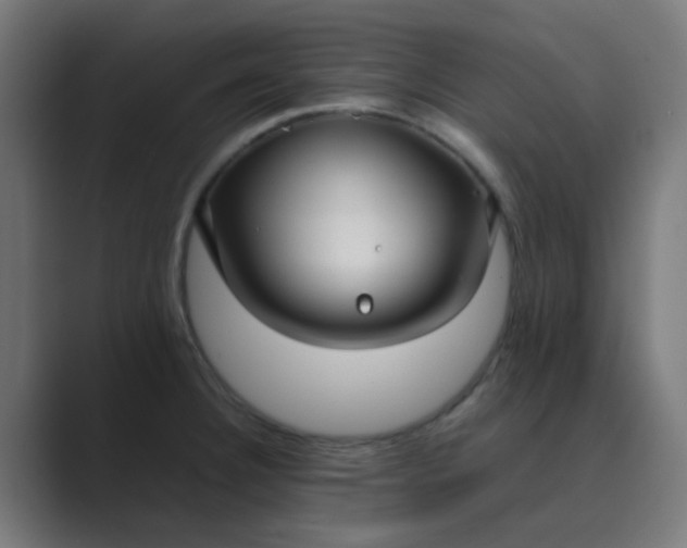 X0000089461332200706291454