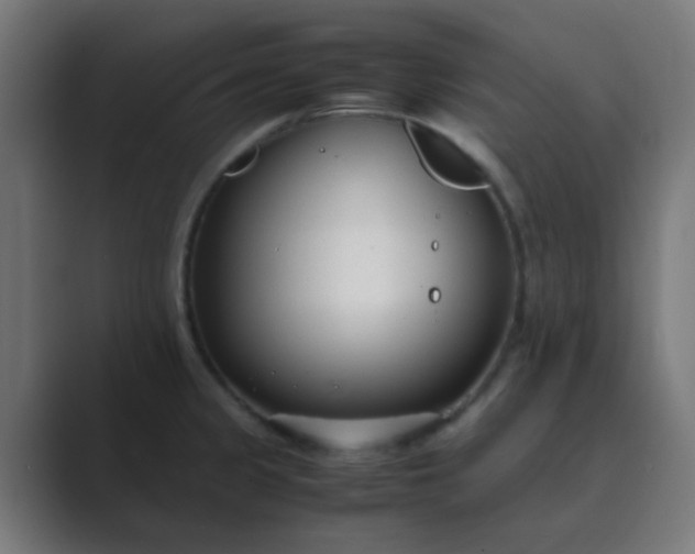 X0000089461333200706291454