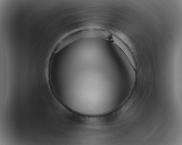 X0000089461334200706291454
