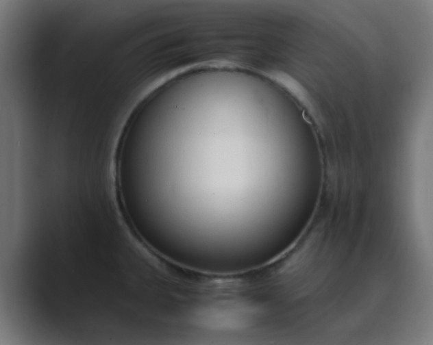 X0000089461335200706291454
