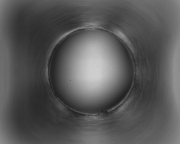 X0000089461336200706291454