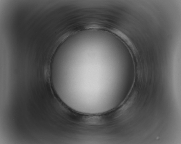 X0000089461337200706291454