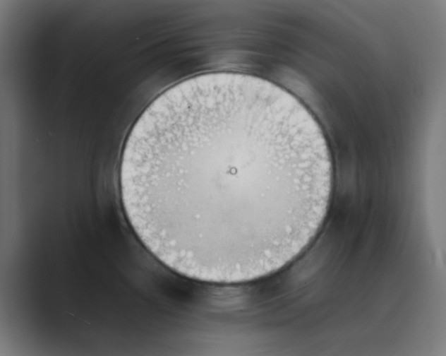 X0000089461338200706291454