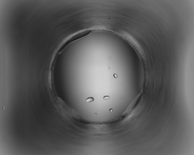 X0000089461340200706291454