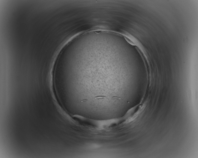 X0000089461341200706291454