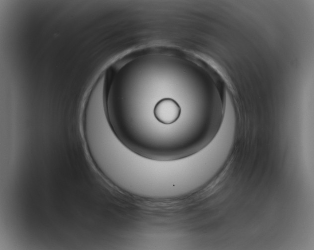 X0000089461342200706291454