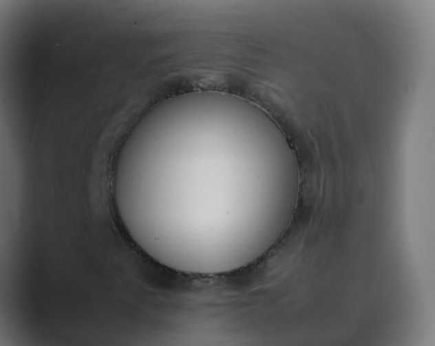 X0000089461345200706291454