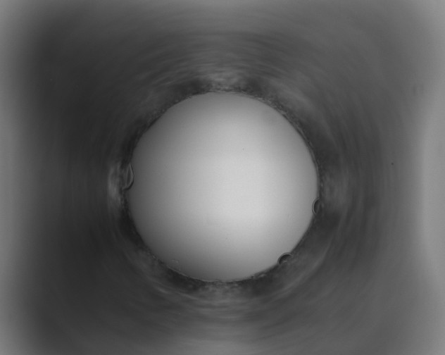 X0000089461346200706291454
