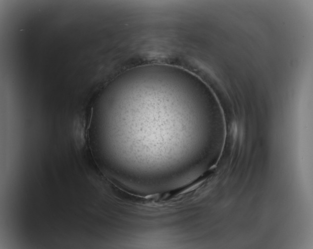 X0000089461348200706291454