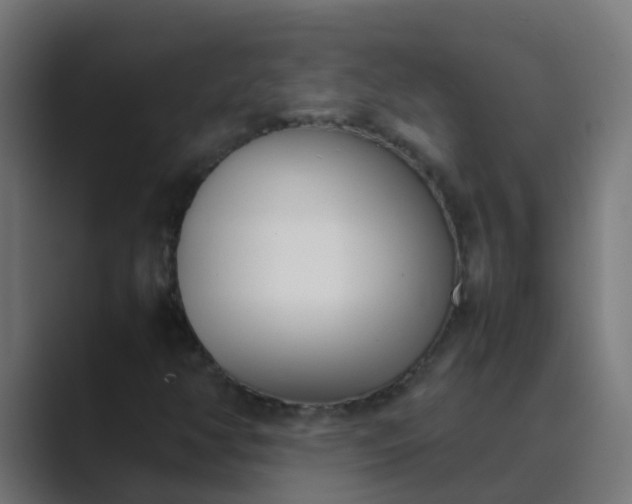 X0000089461350200706291454