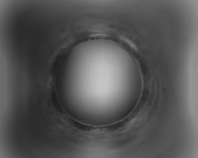 X0000089461351200706291454