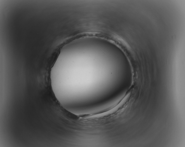 X0000089461352200706291454