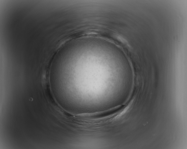 X0000089461353200706291454