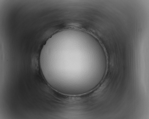 X0000089461354200706291454